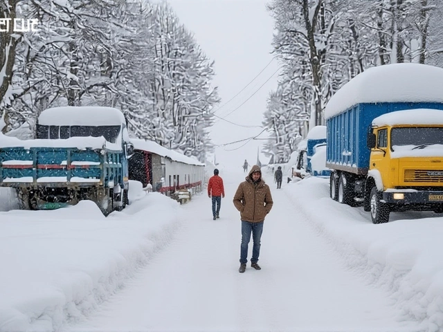 Himachal Blizzard: 4ft Snow, 300 Roads Blocked, Tourists Stranded